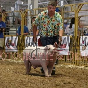 Meet your Posher, Avery